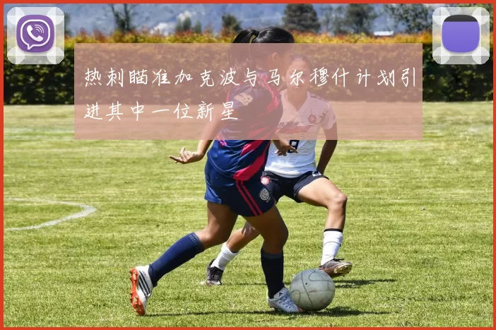 热刺瞄准加克波与马尔穆什计划引进其中一位新星